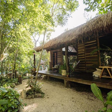 Madre Tierra Eco Habitat Guest House Пуерто Морелос Екстериор снимка