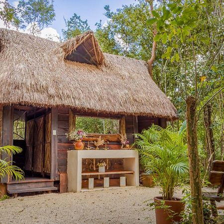Madre Tierra Eco Habitat Guest House Пуерто Морелос Екстериор снимка