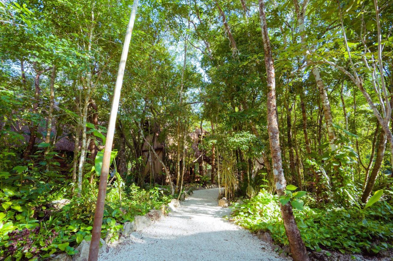 Madre Tierra Eco Habitat Guest House Пуерто Морелос Екстериор снимка