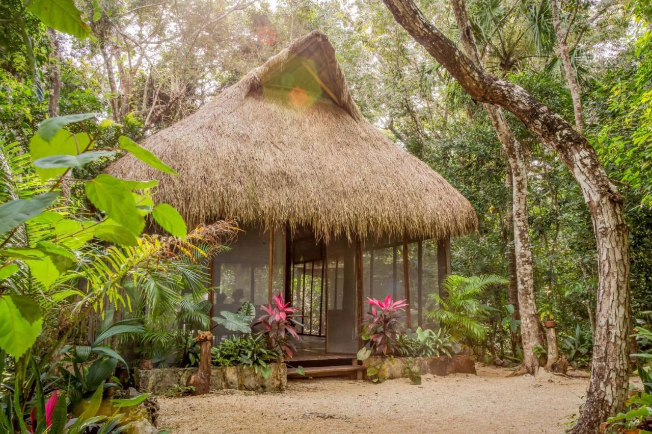 Madre Tierra Eco Habitat Guest House Пуерто Морелос Екстериор снимка