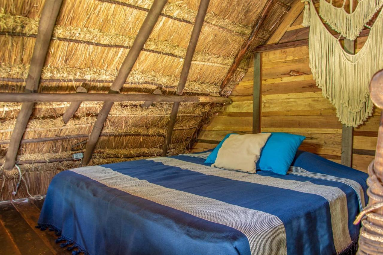 Madre Tierra Eco Habitat Guest House Пуерто Морелос Екстериор снимка