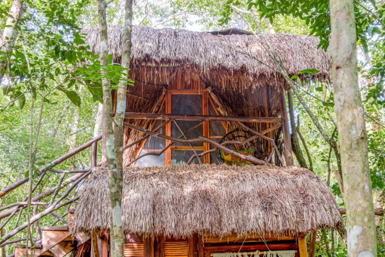 Madre Tierra Eco Habitat Guest House Пуерто Морелос Екстериор снимка