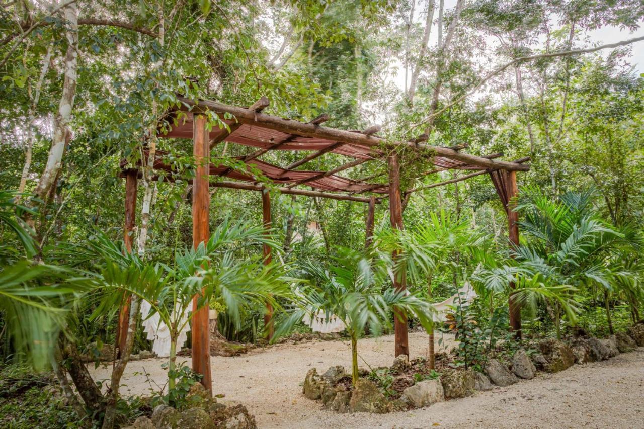 Madre Tierra Eco Habitat Guest House Пуерто Морелос Екстериор снимка