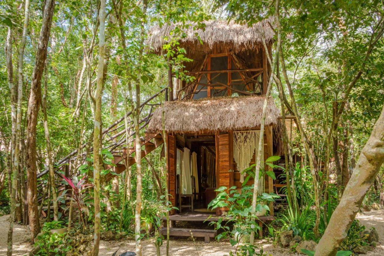 Madre Tierra Eco Habitat Guest House Пуерто Морелос Екстериор снимка