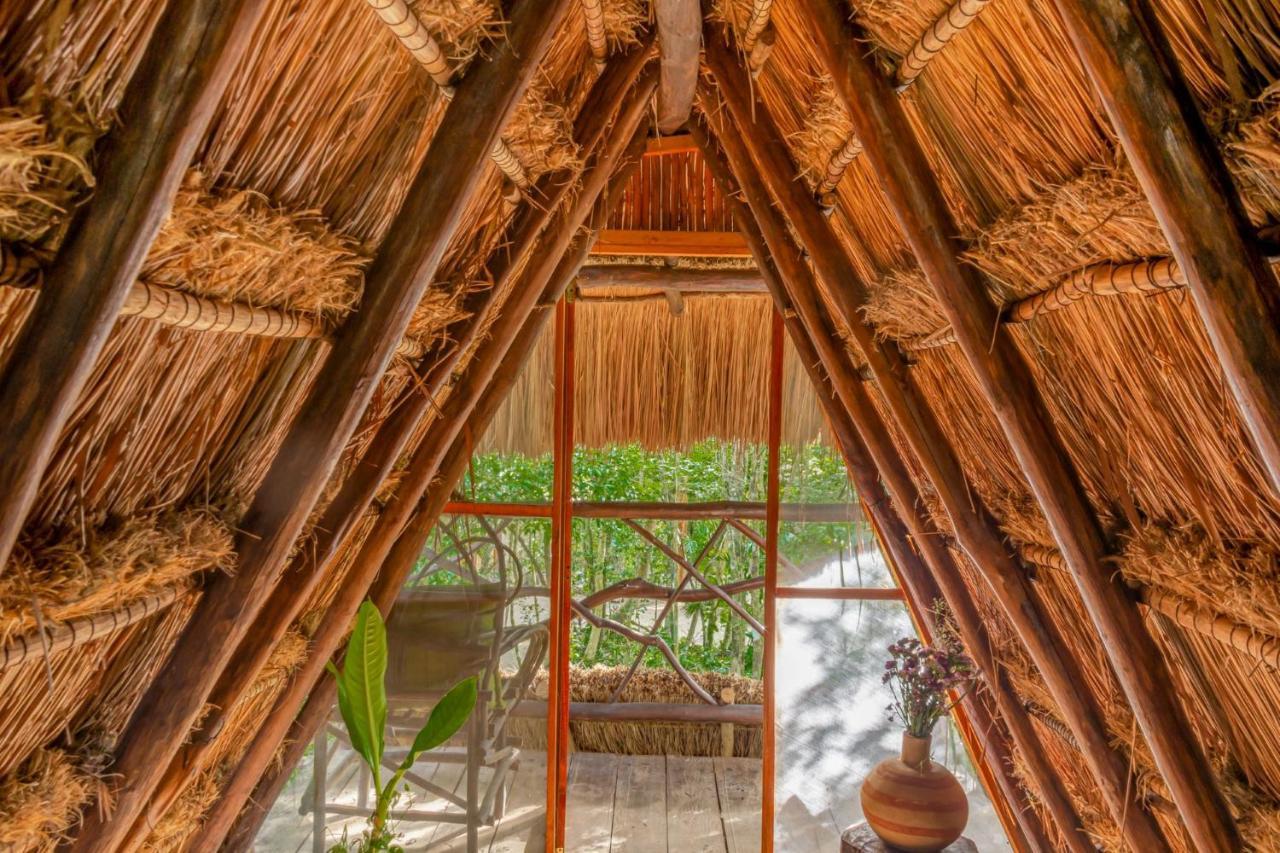Madre Tierra Eco Habitat Guest House Пуерто Морелос Екстериор снимка