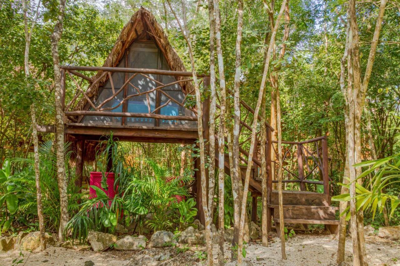 Madre Tierra Eco Habitat Guest House Пуерто Морелос Екстериор снимка