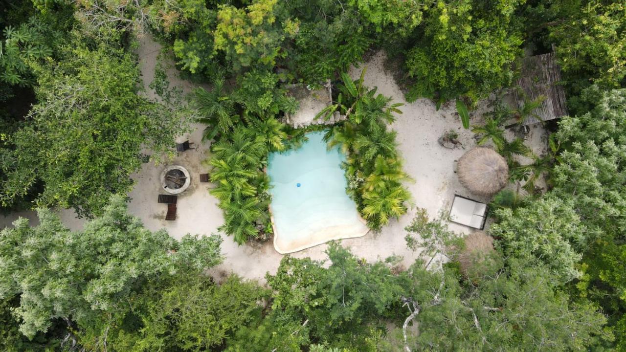 Madre Tierra Eco Habitat Guest House Пуерто Морелос Екстериор снимка