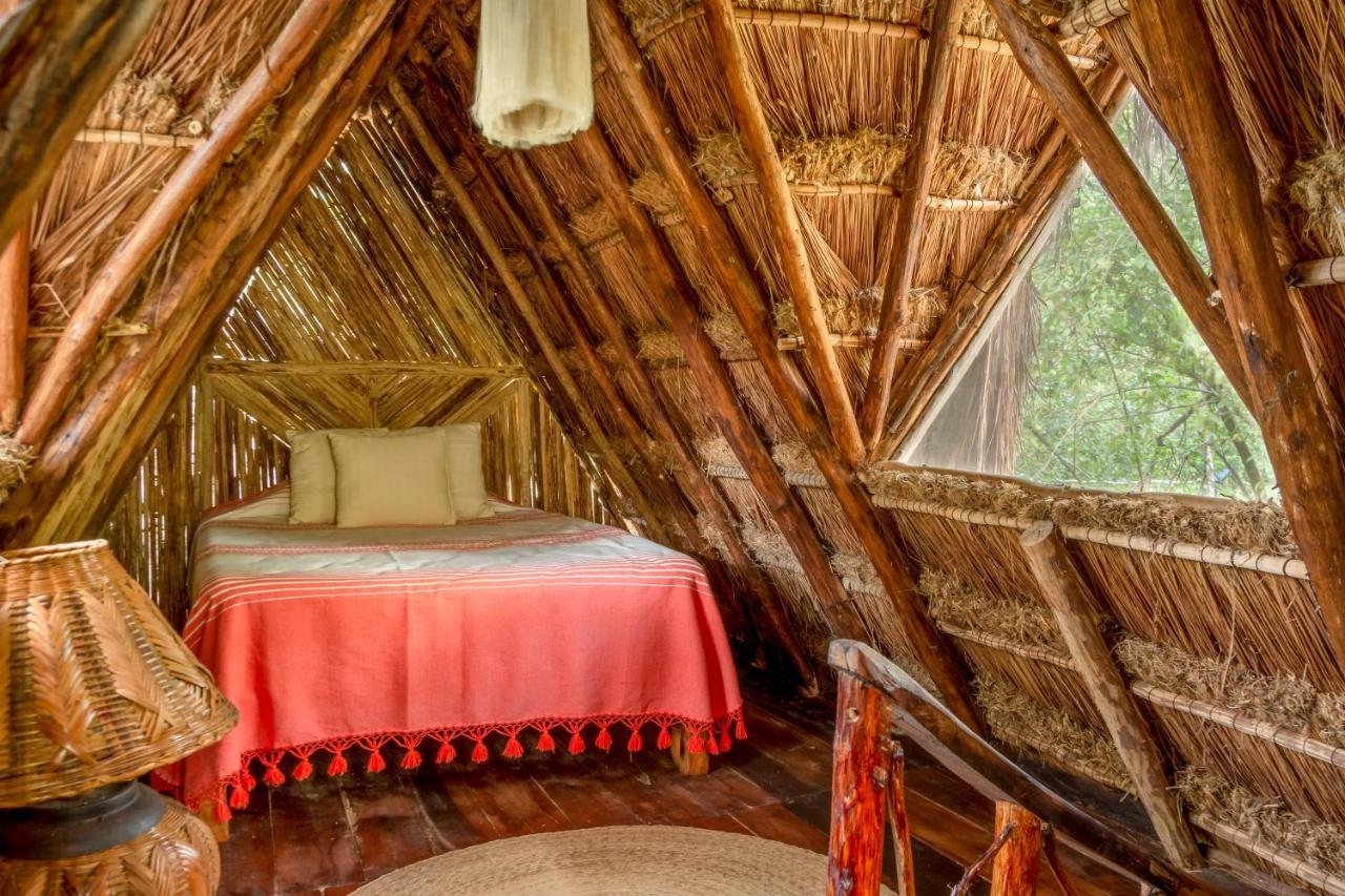 Madre Tierra Eco Habitat Guest House Пуерто Морелос Екстериор снимка