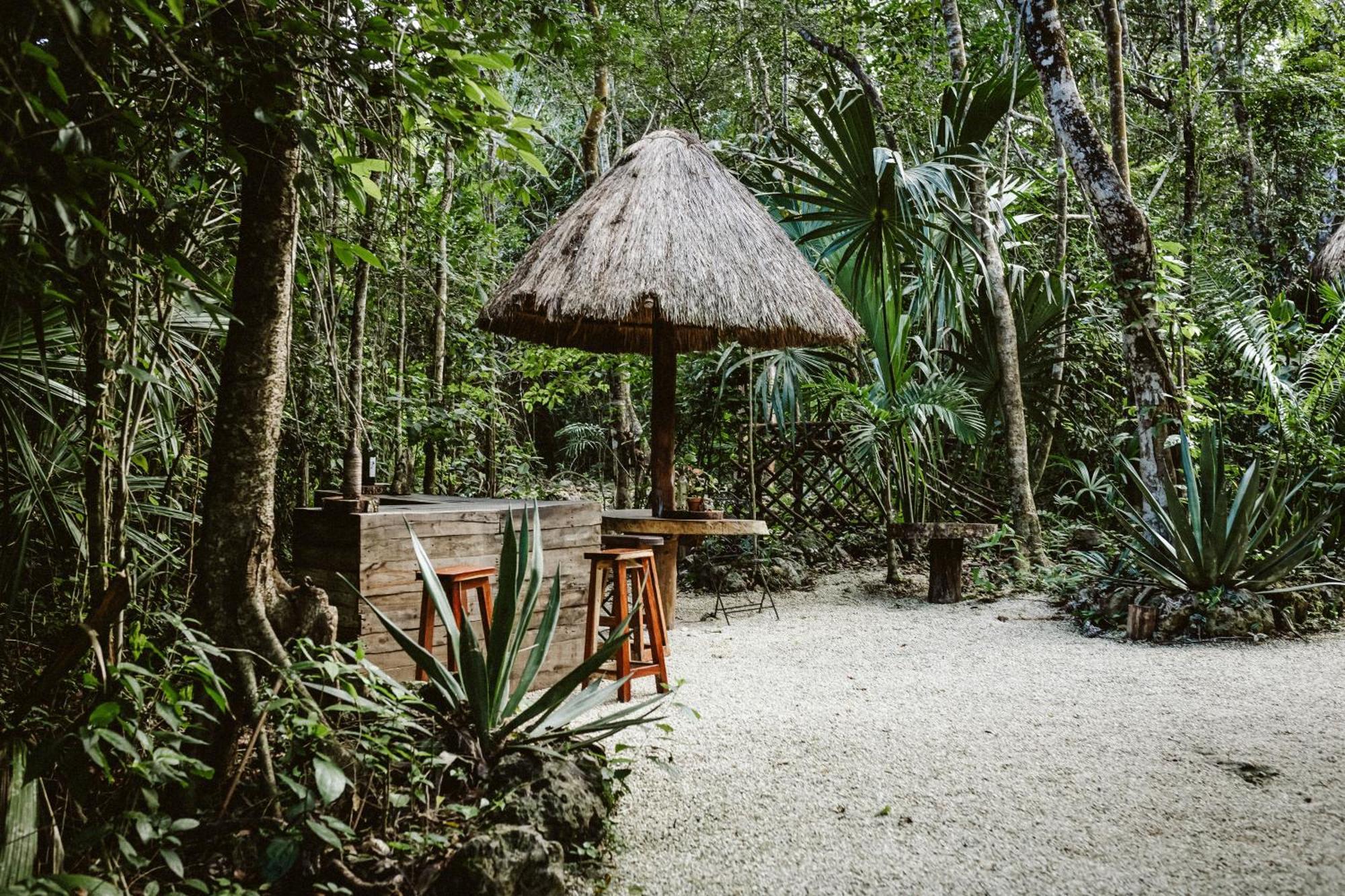 Madre Tierra Eco Habitat Guest House Пуерто Морелос Екстериор снимка