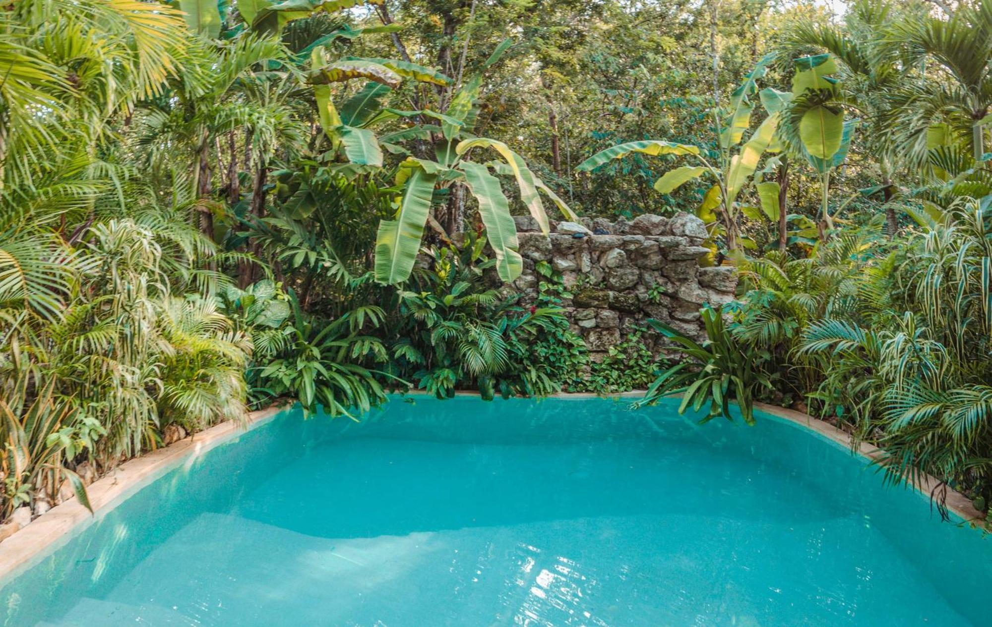 Madre Tierra Eco Habitat Guest House Пуерто Морелос Екстериор снимка