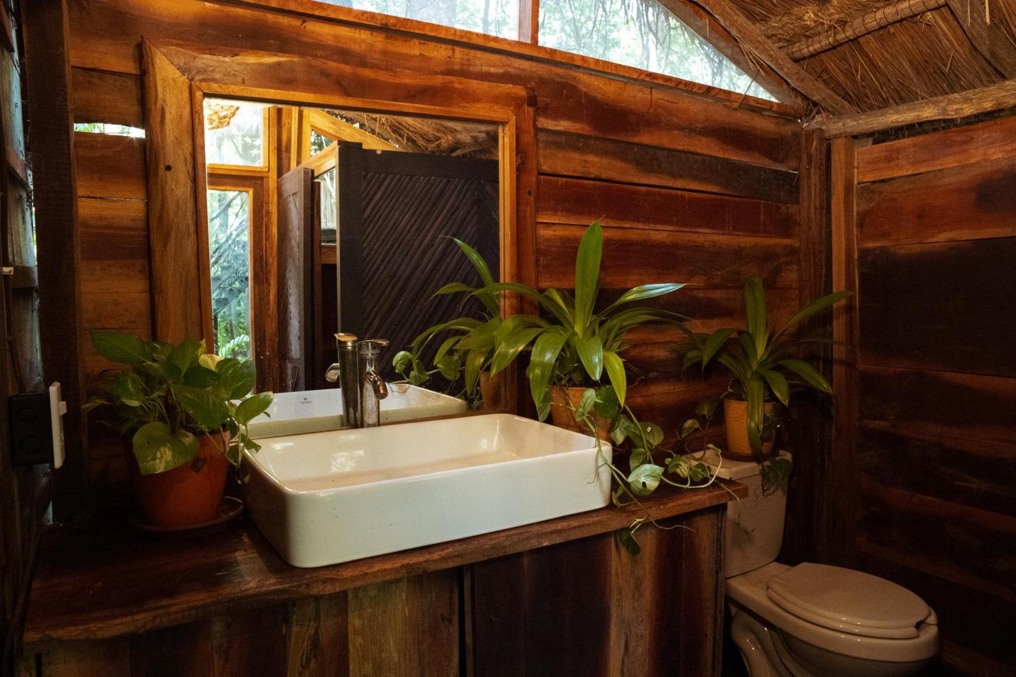 Madre Tierra Eco Habitat Guest House Пуерто Морелос Екстериор снимка